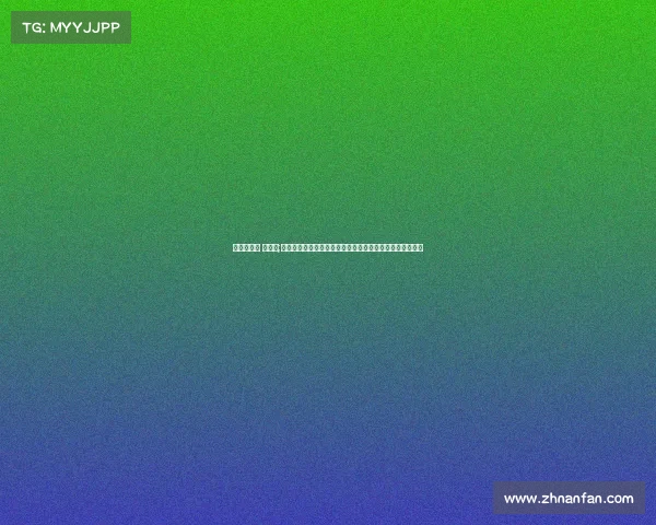 上海定向赛 赛事包;上海定向赛赛事包大揭秘内含必备物资参赛贴士与惊喜好礼