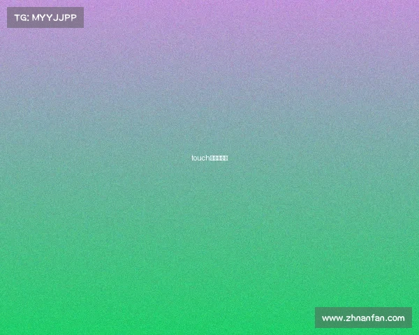 touch橄榄球规则